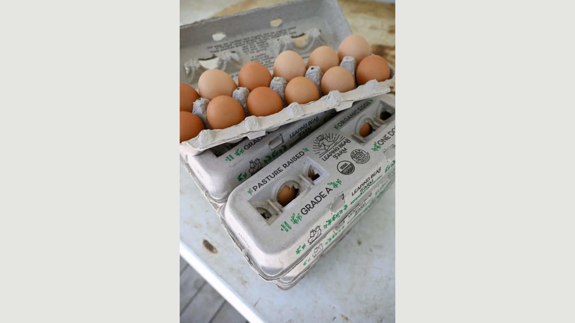 Leaping Bear Farm Grade A Pasture Raised Organic egg cartons with brown eggs