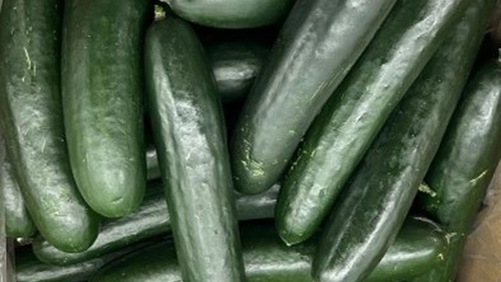 SunFed Agrotato Cucumber Salmonella Lawyer